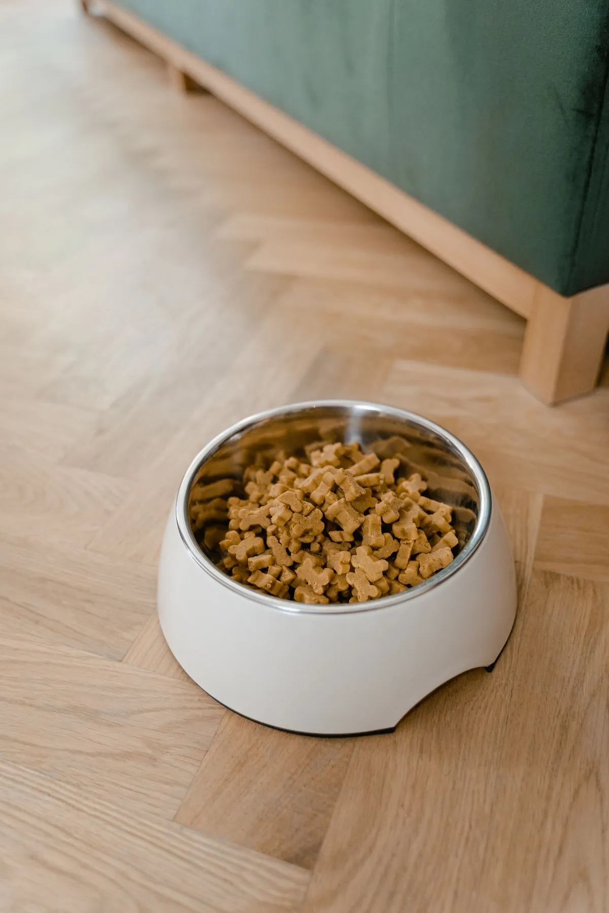 Cuenco metálico con pienso en forma de galletas para perro sobre suelo de madera