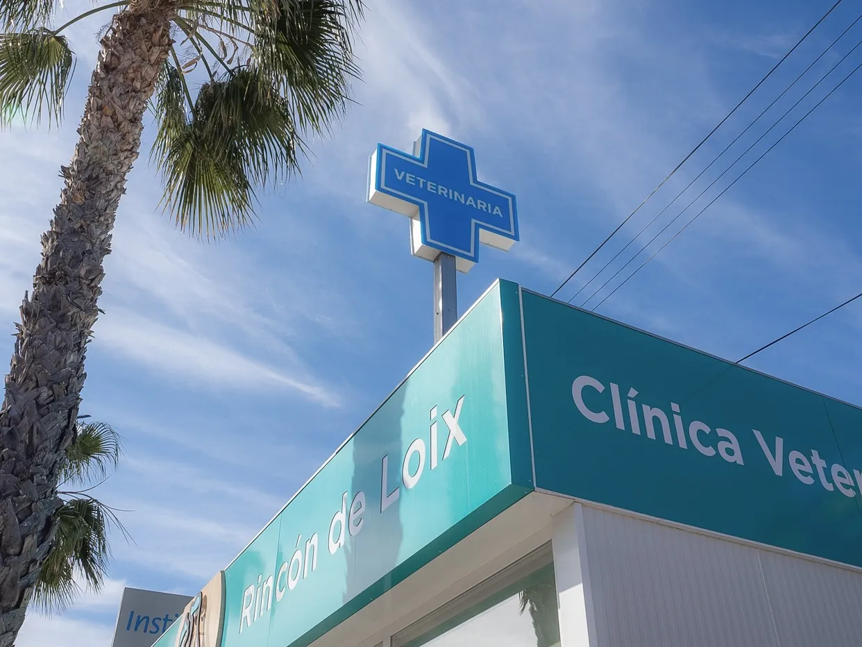 Exterior de la Clínica Veterinaria Rincón de Loix con la cruz veterinaria y palmeras, Benidorm