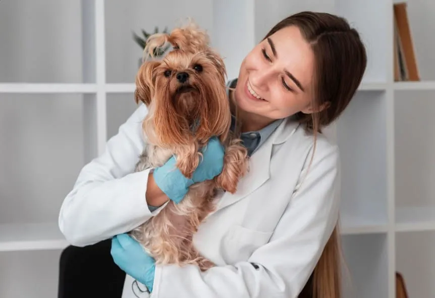 Equipo veterinario atendiendo a un perro en consulta
