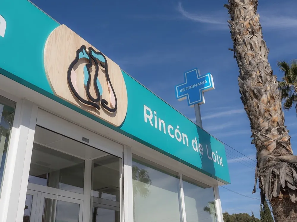 Recepción — Clínica Veterinaria Rincón de Loix