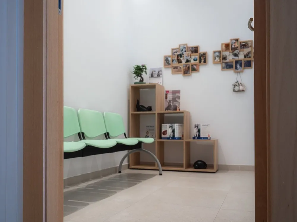 Sala de espera — Clínica Veterinaria Rincón de Loix